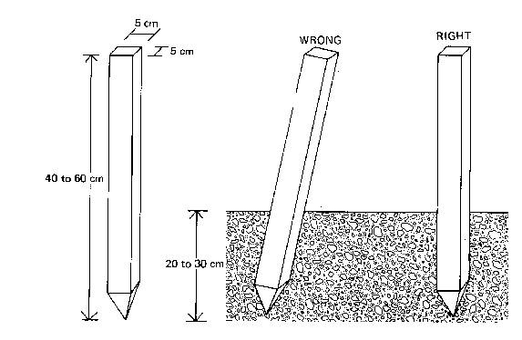 <em>Fig 4.10 Wooden pegs</em>