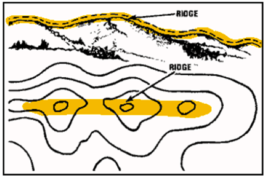 <em>Fig 5.14 A ridg</em>