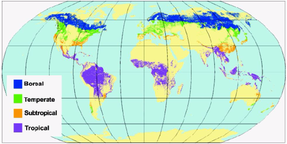 <em>Fig 4.2 World distribution of natural forest </em>(Sources.fao.org)