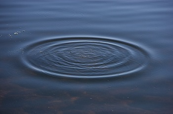 Surface wave