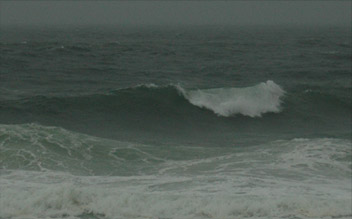 Ocean water as the medium for water waves