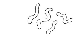 <em>Sprrilla</em>