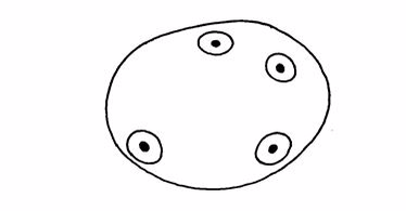 Egg cell