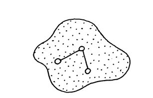 <em>White blood cell</em>