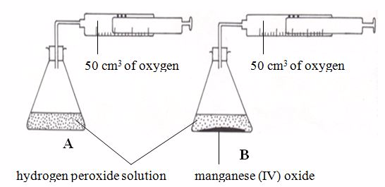 <strong><em>Investigating the effect of catalyst on rate of reaction</em></strong>