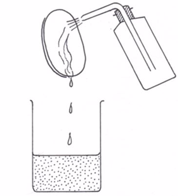 <strong><em>Washing the watch glass</em></strong>