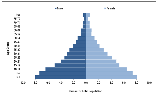 <em>Fig 3.3 Population pyramid (Tanzania census, 2012)</em>
