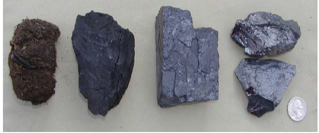 <em>Fig 1.8 Lignite rocks</em>