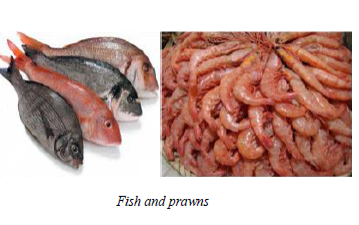 <em>Figure 3.5 Fish and prawns</em>