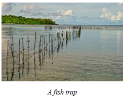 <em>Figure3.6 A fish trap</em>