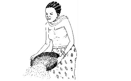 Separating thresh from grains by winnowing