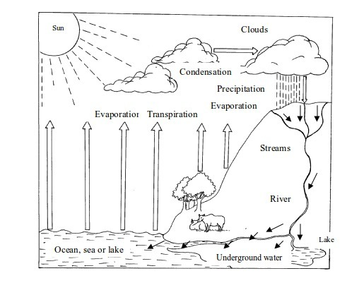 <em>Rain formation</em>