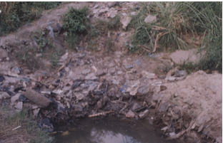 <em>Wastes disposed near community water source</em>